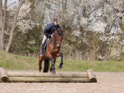 2016 TREC Træning 16 april